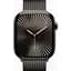 Смарт-часы Apple Watch Series 10 GPS + Cellular 46mm Slate Titanium Case w. Slate Milanese Loop - S/M MC7R4 - миниатюра 2