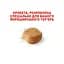 Сухий корм Royal Canin Yorkshire Terrier Adult для дорослих собак, з м'ясом птиці і рисом, 7,5 кг - мініатюра 2