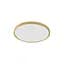 Светильник CAMI WM-BP1108-S-G Zuma Line - миниатюра 1