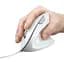 Мишка Trust Verto Ergonomic USB White (25133) - мініатюра 6