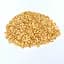 Насіння кукурудзи Вега 0.5 кг - мініатюра 1