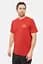Футболка Rab Stance Hex Tee M Красный - миниатюра 1