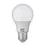 Светодиодная лампа Horoz Electric PREMIER-9 9W E27 6400К - миниатюра 1