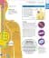 How Food Works: The Facts Visually Explained - мініатюра 13