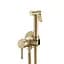 Набор гигиенического душа скрытого монтажа VBI Milano brushed gold VBI-050105BG, Золотой - миниатюра 1
