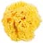 Натуральная губка для ванны OK Baby Honeycomb sea sponge, р.12, желтый (38471200) - миниатюра 1