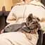 Жакет Pet Fashion Harry XS2 коричневий - мініатюра 4