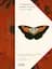 Iconotypes. A compendium of butterflies and moths. Jones’s Icones Complete - мініатюра 1