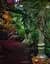 Greenhouses: Cathedrals for Plants - мініатюра 8