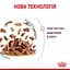Вологий корм для дорослих котів Royal Canin Sensory Feel Gravy, шматочки в соусі, 85 г - мініатюра 5