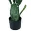 Штучна рослина Engard Cactus 95 cм (TW-42) - мініатюра 3