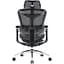 Крісло офісне Sihoo Doro C300 Pro Mesh Black (DORO-C300-PRO-M101) - мініатюра 2