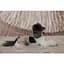 Шорты Pet Fashion Leo для собак XS - миниатюра 9