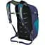 Рюкзак Osprey Daylite Plus розмір Uni синій - мініатюра 3