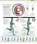 The Complete Running and Marathon Book - мініатюра 5