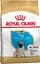 Сухой корм Royal Canin Pug Puppy для щенков, с мясом птицы и рисом, 0,5 кг - миниатюра 1
