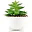 Горщик зі штучною рослиною МВМ My Home, 12 см, білий (DH-FLOWERS-14 S GREEN/WHITE) - мініатюра 1