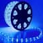 Светодиодная лента LED 100м 220V Дюралайт Синяя - миниатюра 4