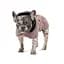 Попона Pet Fashion Max для собак S3 - мініатюра 2