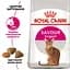 Сухой корм для кошек требовательных к составу продукта Royal Canin Exigent Savour 3.2 кг + 800 г - миниатюра 2