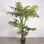 Штучна рослина Engard Lacy Tree 150 см (DW-29) - мініатюра 2