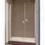 Душові двері Radaway Nes DWS 140 см 10028140-01-01L - мініатюра 1