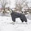 Комбінезон Pet Fashion COLD для собак сірий 6XL - мініатюра 5