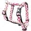 Шлея для собак Max & Molly H-Harness Strawberry Dream L 2.5х52-79х70-97 см - миниатюра 1