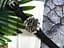 Годинник Festina F20671/6 - мініатюра 5