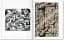 M.C. Escher. The Graphic Work - миниатюра 4