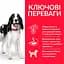 Сухий корм Hill’s SP Adult Medium Breed для дорослих собак середніх порід з ягням і рисом 0.8 кг - мініатюра 2