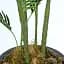 Штучна рослина Engard Palm Tree 182 см (TW-29 ) - мініатюра 2