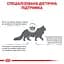 Сухой диетический корм Royal Canin Skin&Coat для кошек после стерилизации при дерматозе и выпадении шерсти, 1,5 кг (1323015) - миниатюра 7