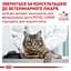 Сухий корм для дорослих котів при харчових алергіях Royal Canin Sensitivity Control, 1,5 кг (39090151) - мініатюра 8