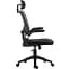 Крісло ігрове Sandberg ErgoFusion Gaming Chair Basic, чорне (640-97) - мініатюра 8