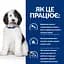 Сухий корм Hill's Prescription Diet c/d для собак догляд за сечовидільною системою з куркою 1.5 кг - мініатюра 7
