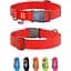 Нашийник для собак Waudog Waterproof з QR паспортом, водостійкий, пластиковий фастекс, XXL, 46-70х4 см - мініатюра 4