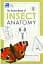 The Pocket Book of Insect Anatomy - мініатюра 1