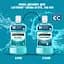 Ополіскувач для ротової порожнини Listerine Свіжа м'ята Захист ясен 250 мл (103060030) - мініатюра 11