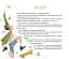 Марусині важливі справи - мініатюра 9