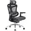 Крісло офісне Sihoo Doro C300 Pro Mesh Black (DORO-C300-PRO-M101) - мініатюра 4