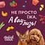 Ласощі для котів Delickcious Курка з додаванням ананасу 4 х 15 г (4820269141629) - мініатюра 8