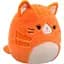 М'яка іграшка Squishmallows Руда кішечка Джіджі 30 см (SQCR06684) - мініатюра 2