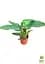 Саджанець Agro-Market Філодендрон Imperial Green кімнатний 30-40 см 1 шт. в упаковці (182692) - мініатюра 2