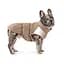 Жилет Pet Fashion Chip для собак S3 - мініатюра 4