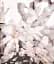 Flowers! In the Art of the 20th and 21st Centuries (Bilingual edition) - миниатюра 2