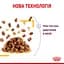 Вологий корм для дорослих котів Royal Canin Taste Jelly шматочки в желе 1.02 (12 шт. х 85 г) - мініатюра 4