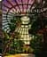 Greenhouses: Cathedrals for Plants - мініатюра 2