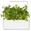 Змінний картридж Click & Grow Smart Garden Петрушка, 3 капсули (7359) - мініатюра 3