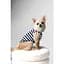Майка Pet Fashion Tropic для собак XS - миниатюра 6